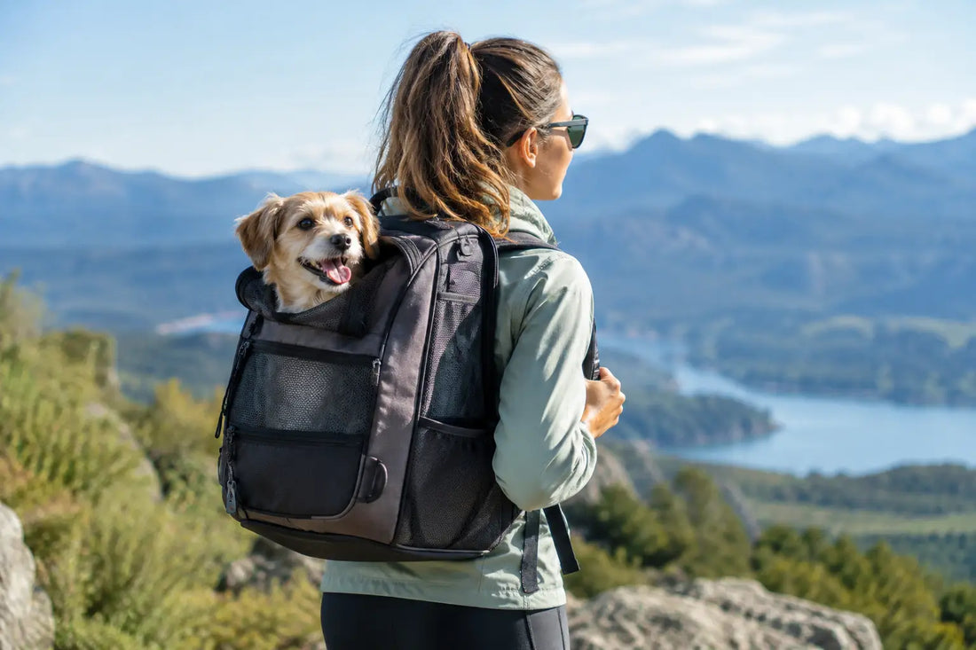 Dog Travel Backpack for Comfortable Adventures