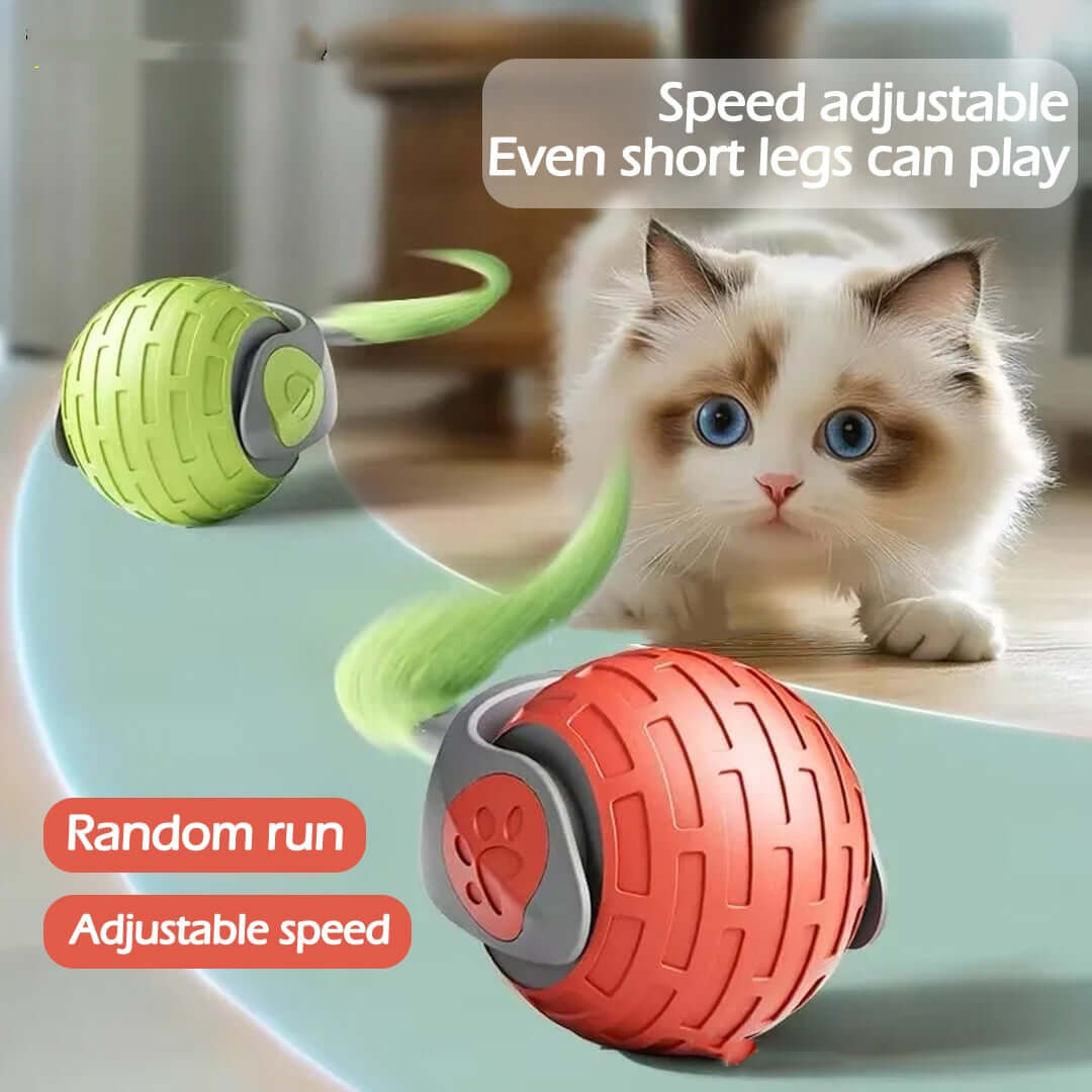 automatic interactive cat toys