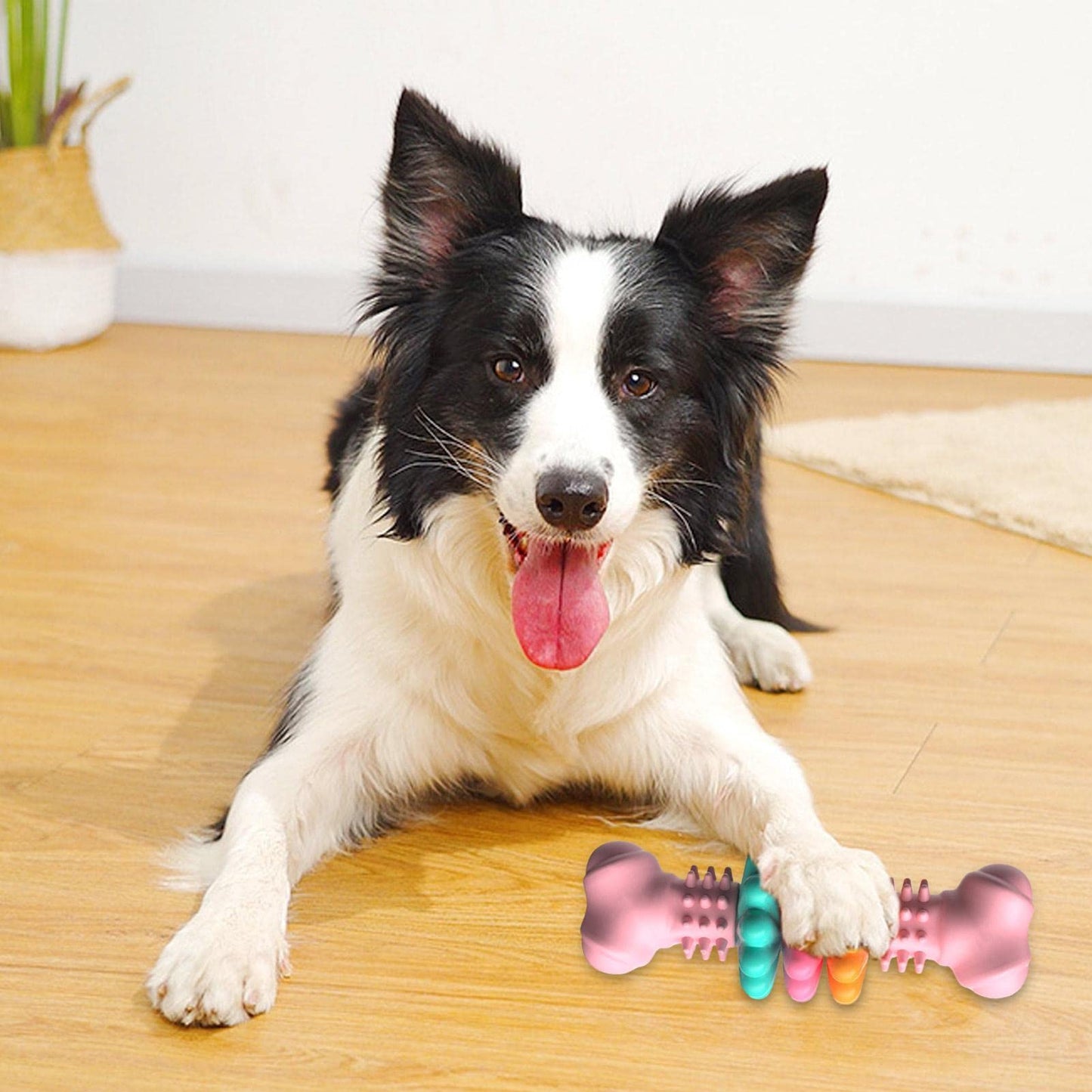 Indestructible Dog Bone Chew Toy