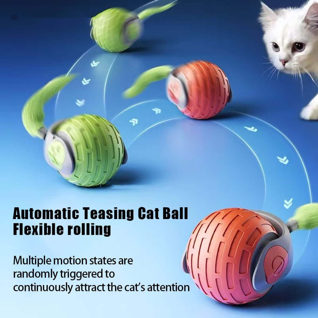 automatic interactive cat toys