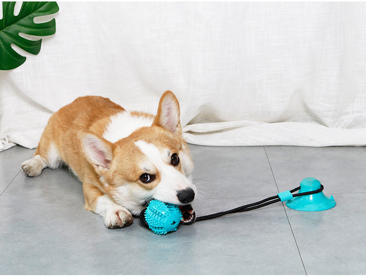 Dog Food Dispensing Tooth Cleaning Toy